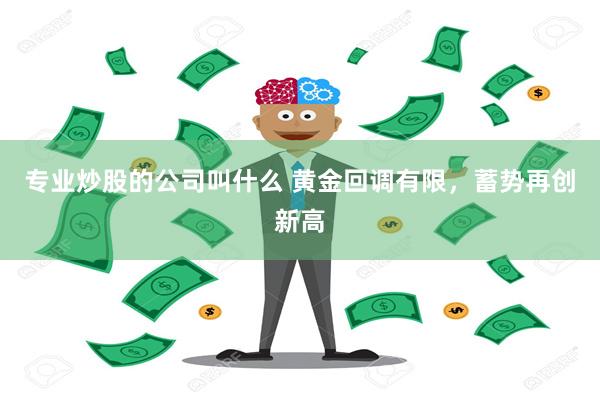专业炒股的公司叫什么 黄金回调有限，蓄势再创新高
