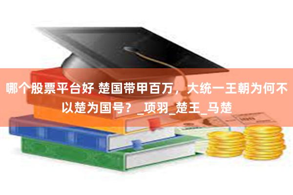 哪个股票平台好 楚国带甲百万，大统一王朝为何不以楚为国号？_项羽_楚王_马楚